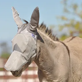 Cashel Donkey Fly Mask with Ears