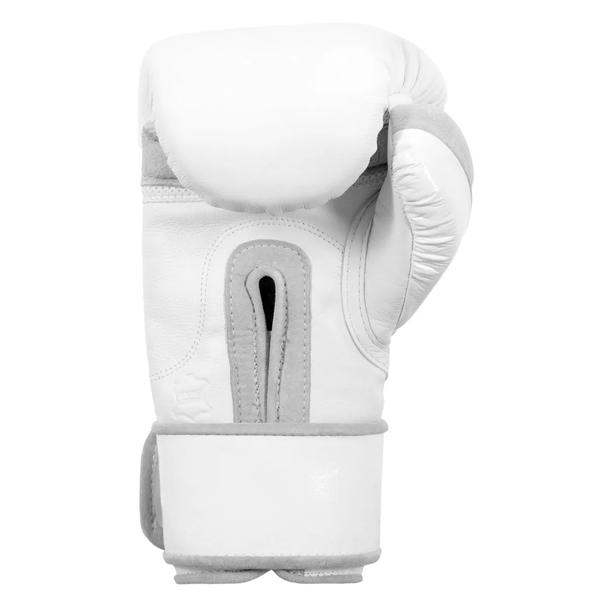 TITLE White Boxing Training Gloves 2.0